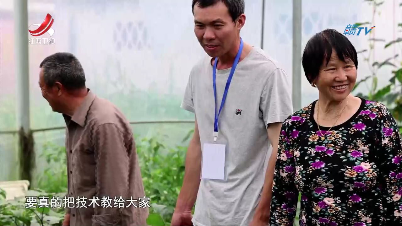 社会传真 我们村的“土”专家