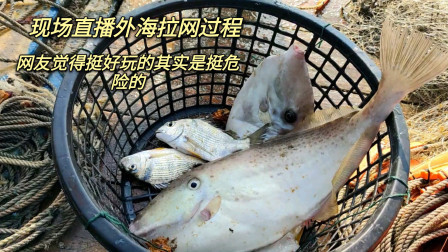 南澳岛赶海日记 彪哥现场直播外海捕鱼全过程，网友觉得挺好玩的，其实危险无处不在