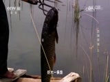 地理中国 《地理中国》 20170627 西域奇城（上）