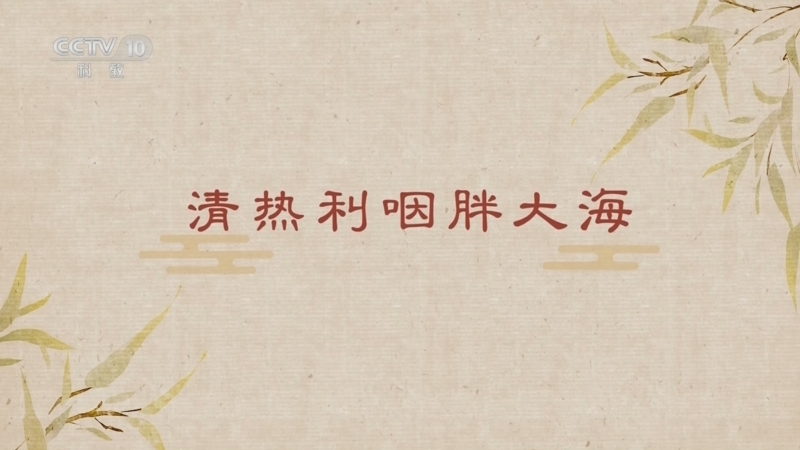 《百家讲坛》 20260204 舌尖上的养生（第三部） 15 清热利咽胖大海