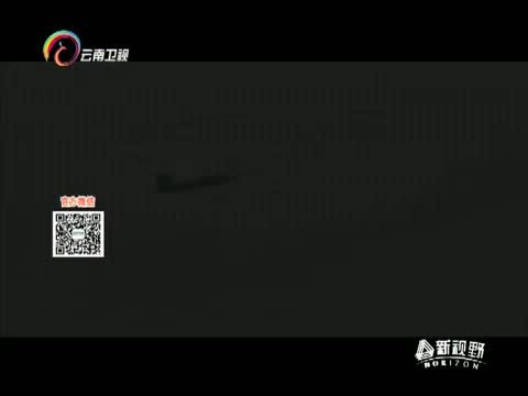 新视野 《新视野》 20141110