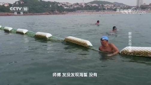 走近科学 《走近科学》 20190904 解密水母毒素