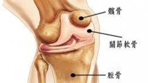 健康生活 健康生活之除湿养骨在大暑