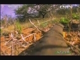 人与自然 《人与自然》 20131027 自然发现 非常前十名