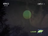 人与自然 《人与自然》 20150819 自然故事：玛拉玛拉的抗争-勇士不屈