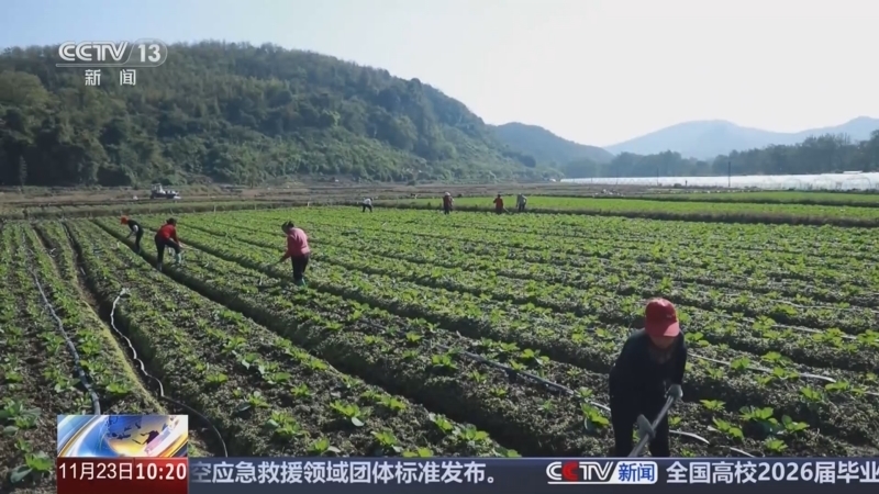 新闻直播间 《新闻直播间》 20251123 10:00