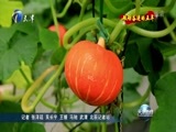 天津新闻 《天津新闻》 20171013
