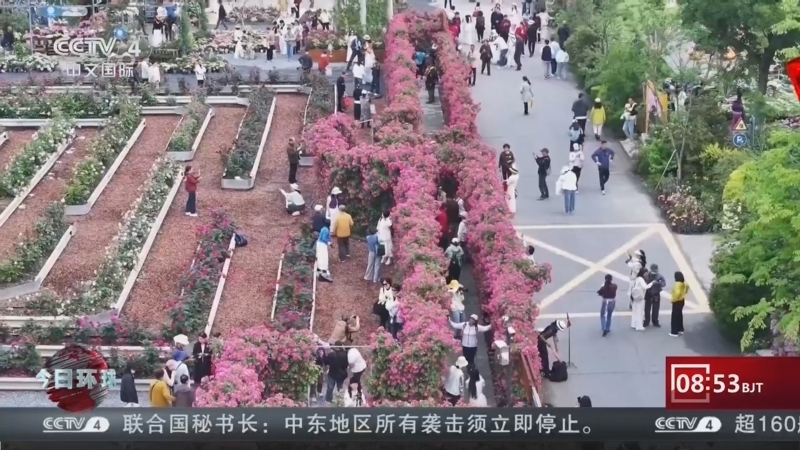 今日环球 《今日环球》 20260610