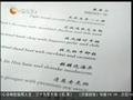 娱乐现场 《娱乐现场》20110601：《大魔术师》演员集体亮相