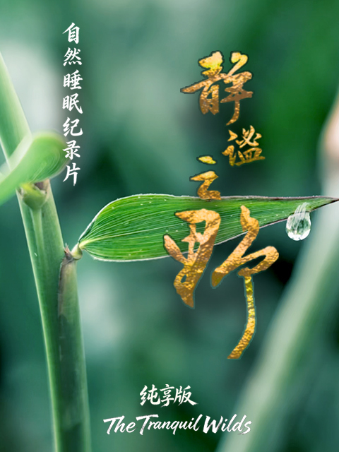 静谧之野 纯享版 海报