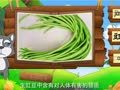 看图识物 大豆 豇豆 豌豆