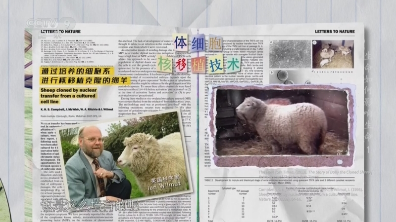 《生命如何影响生命》 第1集