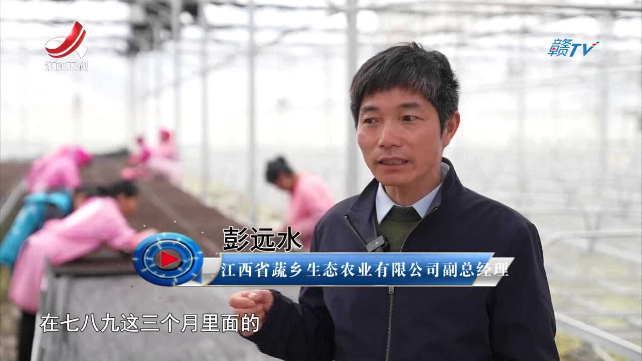 社会传真 科技零距离 小院助振兴