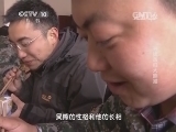 走近科学 《走近科学》 20140417 寻找放归大熊猫
