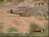生财有道 生财有道 2010-12-29