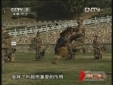谁是终极英雄 《谁是终极英雄》 20121007 神犬无敌