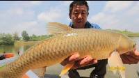 游钓中国 第二季 第13集 火箭湖奇遇记