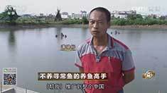 致富经 [致富经]不养寻常鱼的养鱼高手 20161114