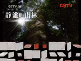 地理中国 《地理中国》 20110907 神秘的“食肉草”