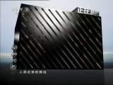 动物世界 动物世界 2011年 第45期 2011-02-25