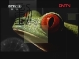 动物世界 《动物世界》 20120224
