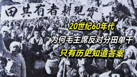 文史档案 毛主席为何反对分田单干，家庭联产承包到底好不好，历史知道答案