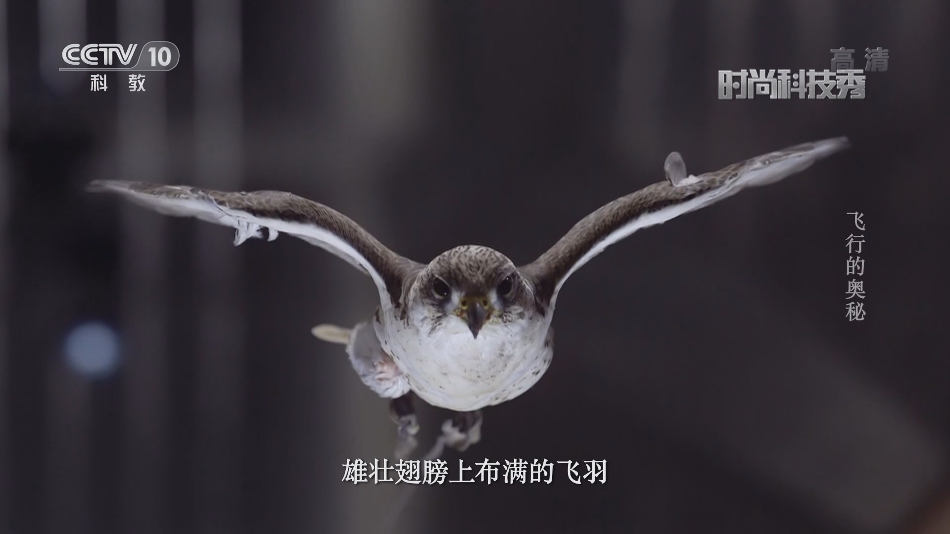 《时尚科技秀》 20211020