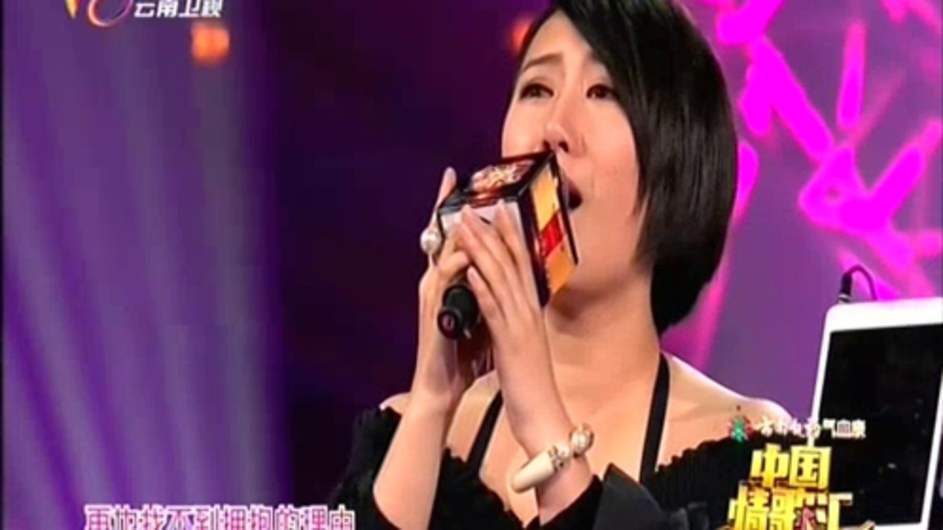 中国情歌汇 校园爱情歌曲