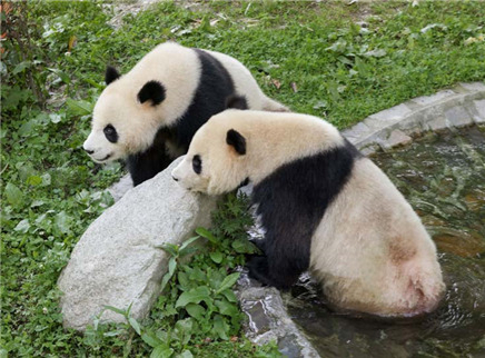 加更版：优悠举手求投喂