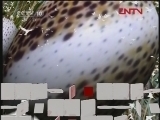 大自然的猜想（十一）[自然传奇] 20120314