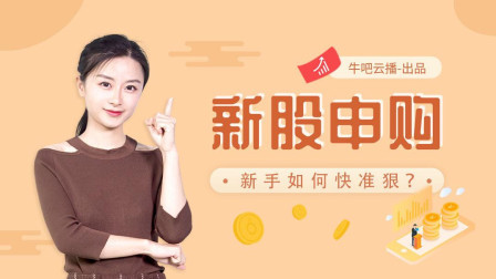 沐有话说 新股打新一本万利！新手如何做到快准狠？ 牛吧云播