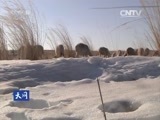 天网 《天网》 20160407 雪原追凶