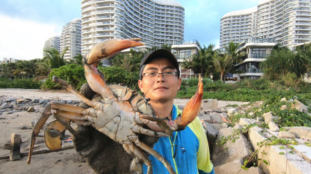 思乡渔夫 渔夫去别墅区赶海，偶遇骨灰级挖蟹高手，被上了一课