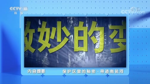 地理中国 《地理·中国》 20200611 保护区里的秘密·寻迹南瓮河
