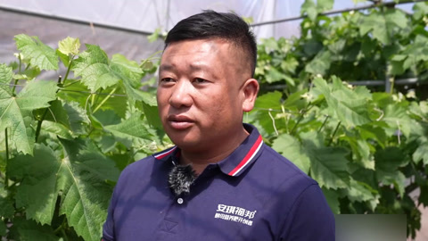 种植前线 敢“酵”土壤瘦变肥 科技赋能助力产业兴旺