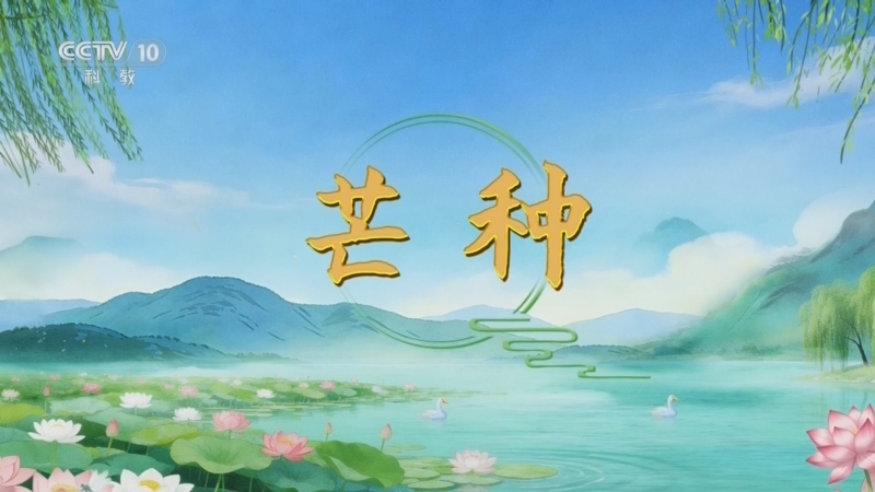 百家讲坛 《百家讲坛》 20260605 光阴里的节气·芒种