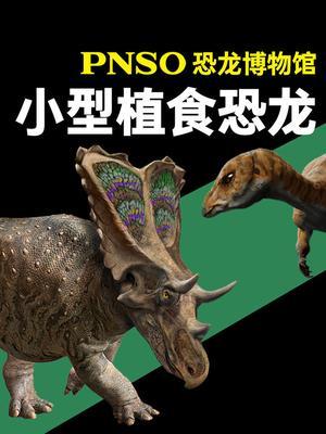 PNSO恐龙博物馆：小型植食恐龙