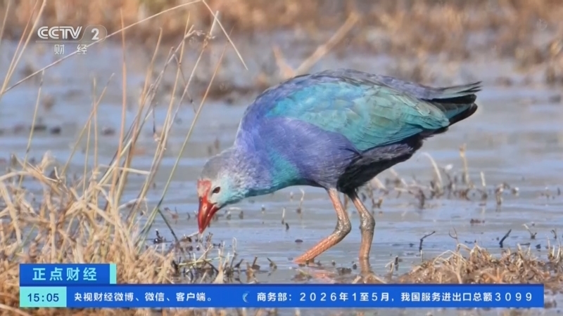正点财经 《正点财经》 20260702 15:00