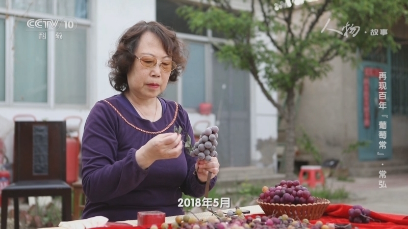 人物&middot;故事 《人物·故事》 20230722 再现百年“葡萄常”·常弘
