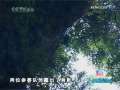 动感特区 动感特区 2009年 第23期