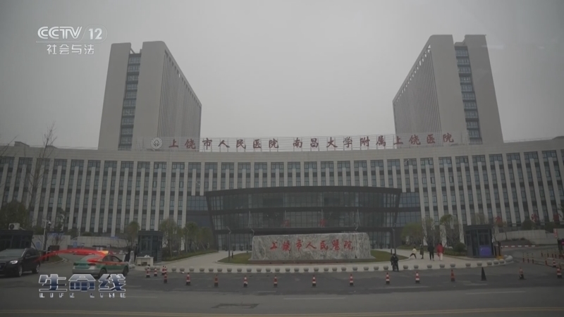 生命线 《生命线》 20240516