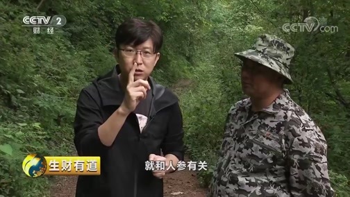 生财有道 《生财有道》 20191016 咱们家乡有特产 秋天来集安 寻宝去跑山