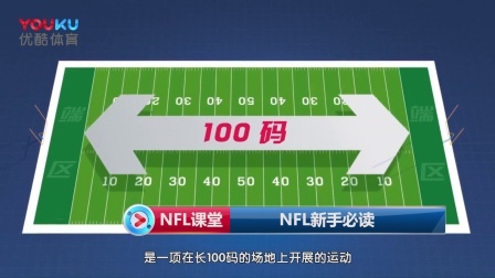 【NFL超级碗】超美慢镜头回顾第53届超级碗