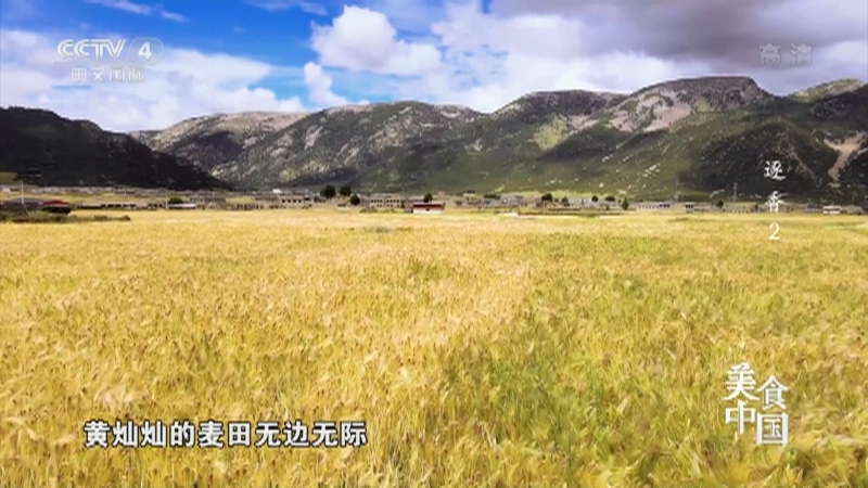 美食中国 《美食中国》 20221025 逐香（2）