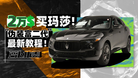 萝卜报告 2020 新思域VS二手玛莎？成年人玩的你不懂