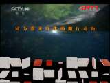 地理中国 《地理中国》 20111206 探秘沼泽地