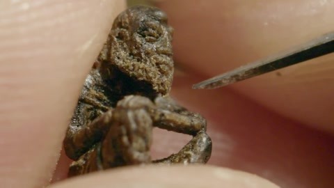 讲究 第三季 微雕：空前绝后的微雕技艺