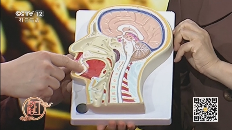 《夕阳红》 20260111 当呼吸发出警告——咽炎需要治疗吗？