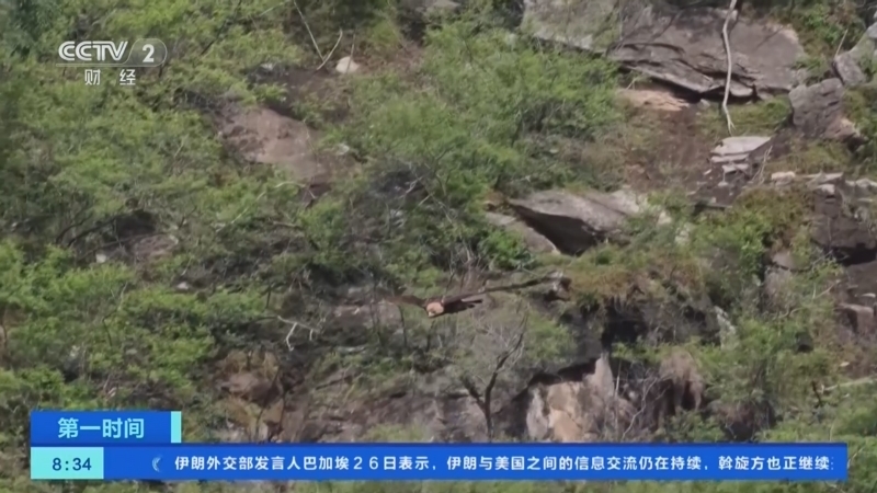 《第一时间》 20260727 2/2