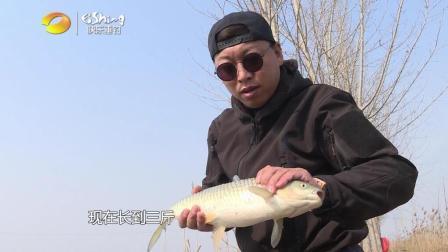 自游去钓 第一季 兄弟力战微山湖